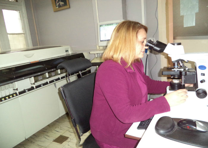 Imagen foto_00000002