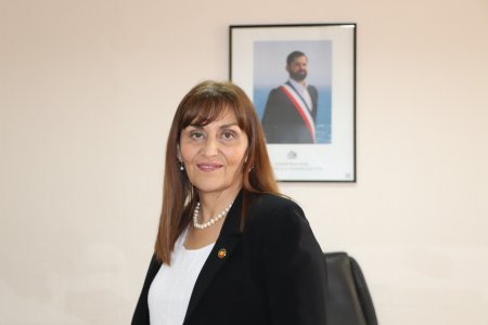 Directora Servicio de Salud Viña del Mar Quillota